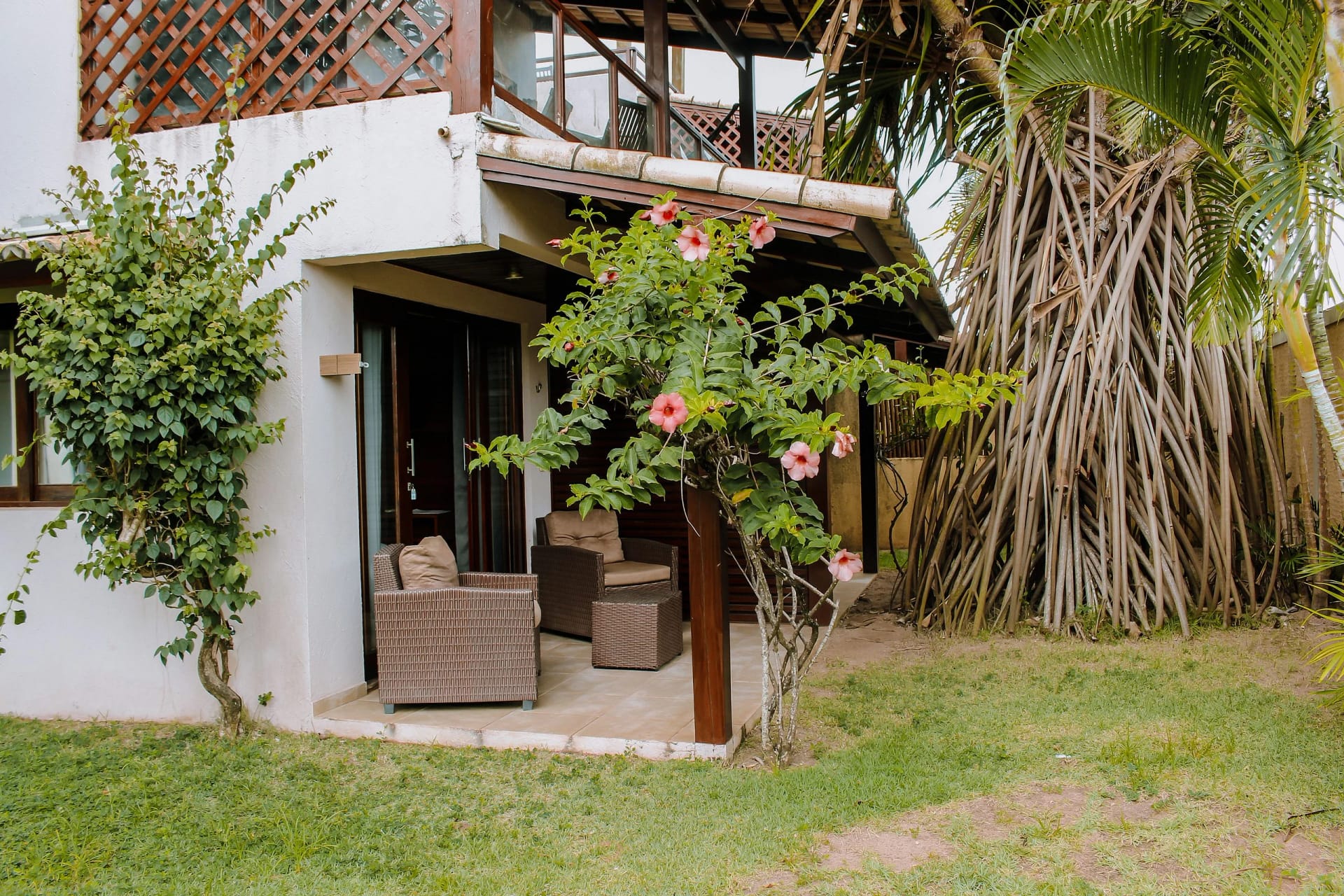 Fachada / Terraza — LiderHomes Premium Pipa - Standart
