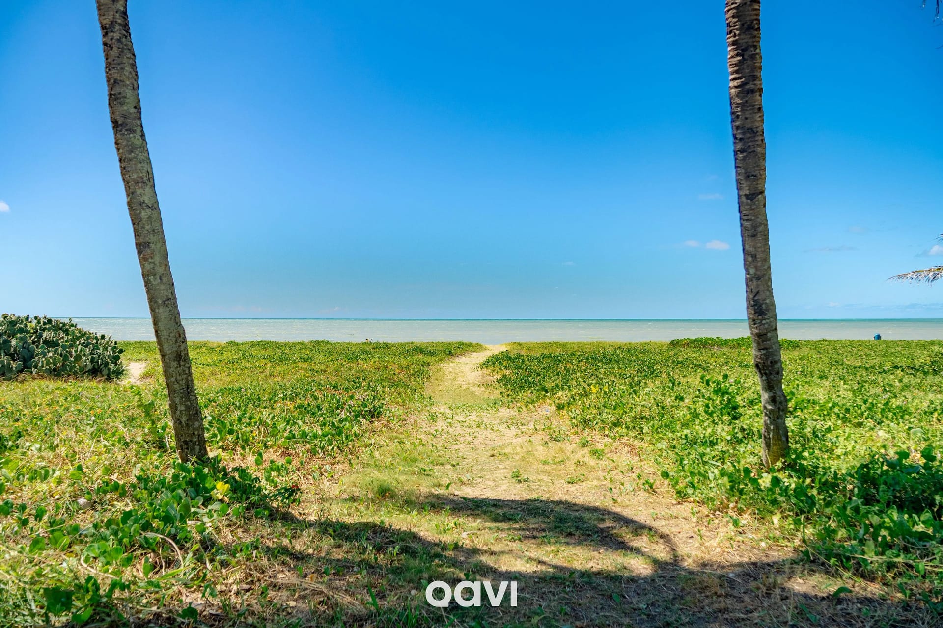 Beach — Studio Alta Garden Beira mar by QAVI